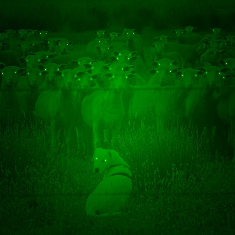 Green glowing objects in a dark setting